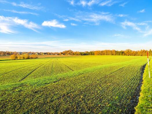 Land-/Forstwirtschaft zum Kauf Gilgenberg am Weilhart 5133