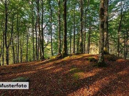 Land-/Forstwirtschaft zum Kauf 134.580 € 65.081 m² Grundstück St. Johann in Tirol 6380