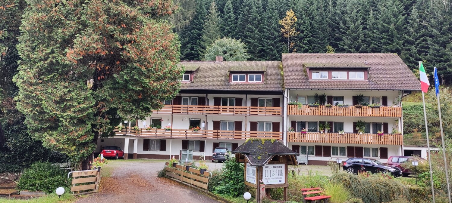 Hotel zum Kauf 640.000 € 1.672 m²<br/>Grundstück Oberharmersbach 77784