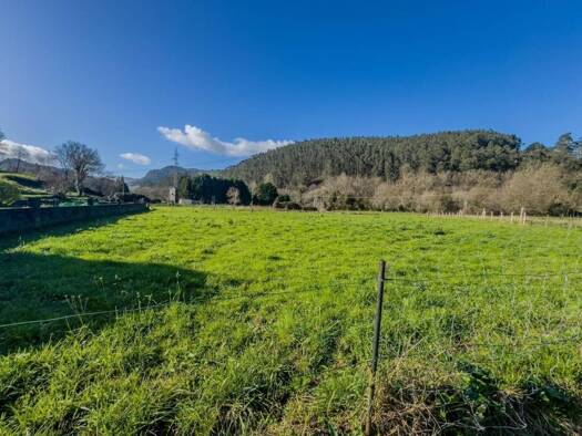 Acker-/Waldstück zum Kauf 80.000 € Castañeda 39660
