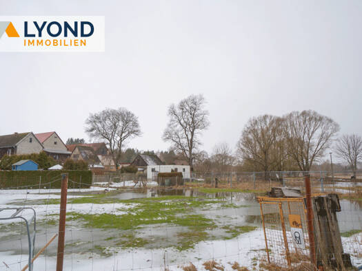 Land-/Forstwirtschaft zum Kauf 16.000 € 1.010 m² Grundstück Hasselfelde 38899