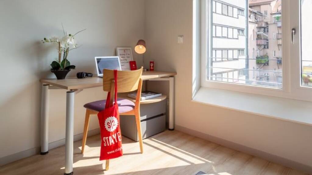 Studio zur Miete 549 € 1 Zimmer 20 m² 1. Geschoss Äußere Bayreuther Straße 113 Schoppershof Nürnberg 90409