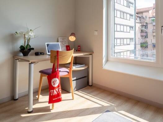Wohnung zur Miete 539 € 1 Zimmer 20 m² 1. Geschoss Äußere Bayreuther Straße 113 Schoppershof Nordöstliche Außenstadt 90409