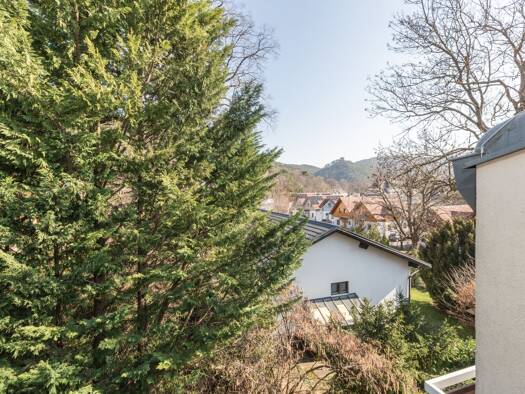Wohnung zum Kauf 149.000 € 1 Zimmer 36 m² 2. Geschoss Hinterbrühl 2371