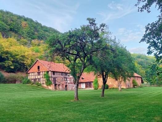 Landwirtschaftliche Fläche zum Kauf als Kapitalanlage geeignet 990.000 € 50.000 m² Grundstück Nieder-Werbe Waldeck 34513