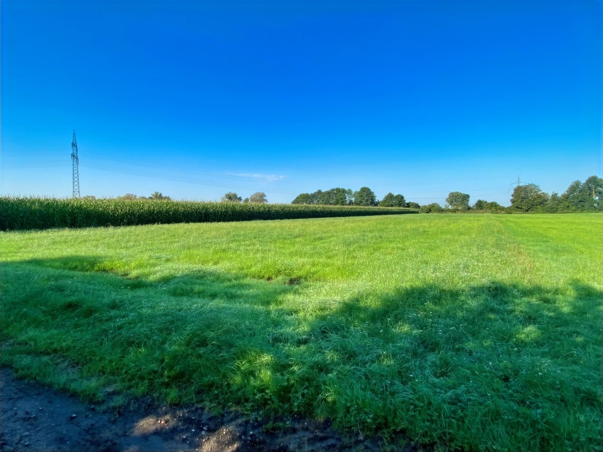 Land-/Forstwirtschaft zum Kauf 164.000 € 6.540 m²<br/>Grundstück Ismaning Ismaning 85737