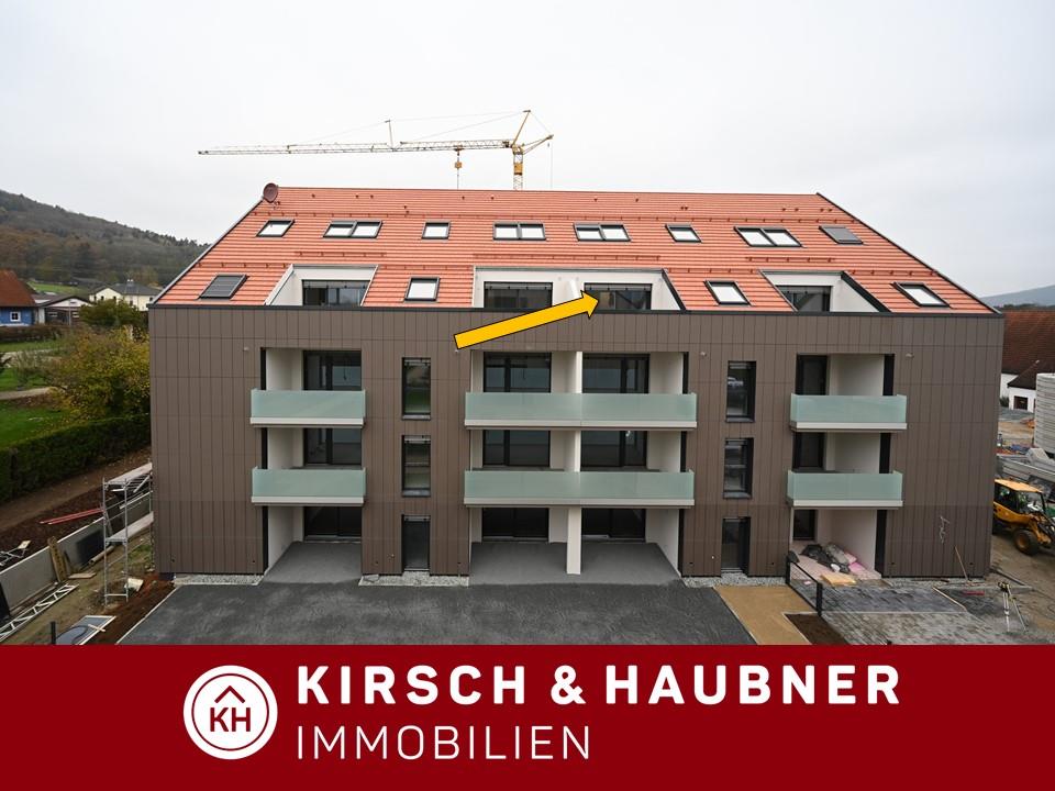 Wohnung zur Miete 660 € 2 Zimmer 56,1 m²<br/>Wohnfläche Ellmannsdorf Mühlhausen 92360