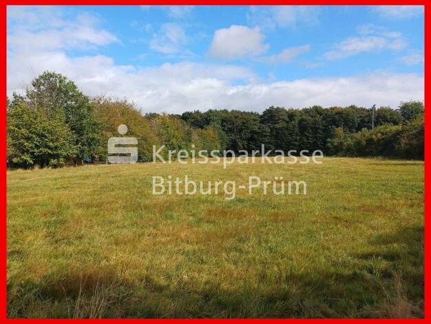 Grundstück zum Kauf provisionsfrei 63.500 € 403 m² Grundstück Herforst 54662