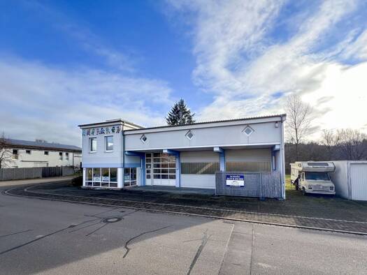 Produktionshalle zum Kauf 760 m² Lagerfläche Steinen 79585