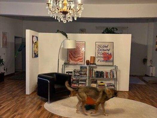 Wohnung zur Miete 1.934 € 5 Zimmer 216 m² 1. Geschoss frei ab 01.03.2026 Erasmusstraße 15 Bilk Düsseldorf 40223