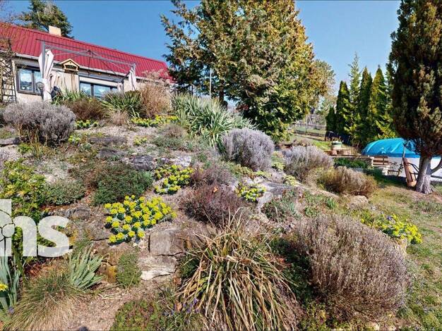 Haus zum Kauf provisionsfrei 60.000 € 2 Zimmer 42 m² 891 m² Grundstück Ehrauberge 1 Freyburg 06632