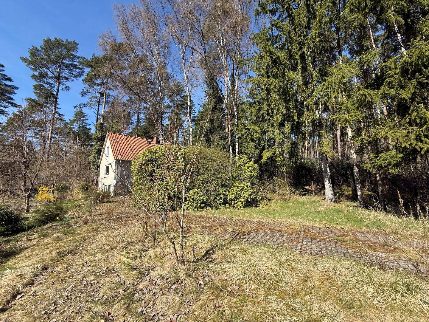 Einfamilienhaus zum Kauf - Ansicht 4