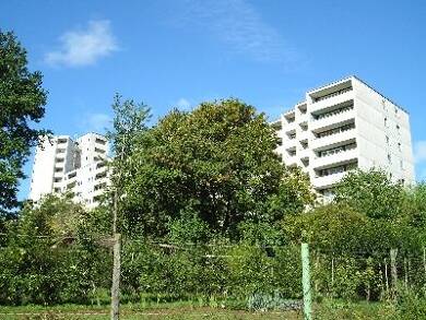 Wohnung zur Miete 547 € 2 Zimmer 58 m² 2. Geschoss frei ab 16.08.2025 Kafkaweg 2 Freiberg Stuttgart 70437