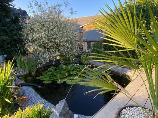 Einfamilienhaus zum Kauf provisionsfrei 299.900 € 11 Zimmer 220 m² Fraureuth 08427