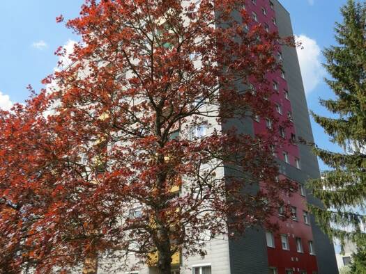 Wohnung zur Miete 850 € 3,5 Zimmer 67,2 m² Crailsheim 74564