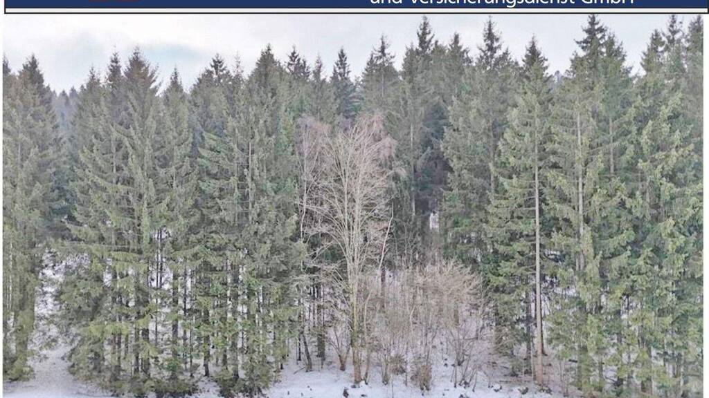 Land-/Forstwirtschaft zum Kauf 31.450 € 7.362 m² Grundstück Rehberg Grainet / Rehberg 94143