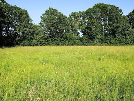 Grundstück zum Kauf 145.000 € 880 m² Grundstück Pöllersdorf Goldkronach 95497