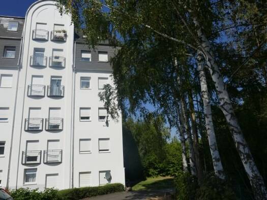 Wohnung zur Miete 318 € 1,5 Zimmer 48,9 m² 4. Geschoss frei ab sofort Anna-Esche-Strasse 4 Limbach-Oberfrohna 09212