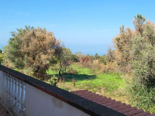 Einfamilienhaus zum Kauf 450.000 € 9 Zimmer 150 m² 4.000 m² Grundstück frei ab sofort Ricadi 89866