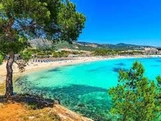 Gastronomie/Hotel zur Miete provisionsfrei 6.500 € 700 m² Gastrofläche Palmanova 07181