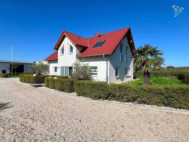 Einfamilienhaus zum Kauf 2.800.000 € 6 Zimmer 185 m² 33.425 m² Grundstück Mainz-Kastel Wiesbaden 55252