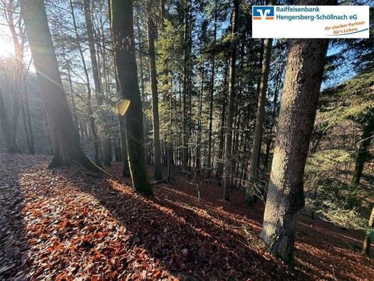 Forstwirtschaft zum Kauf 85.745 € 30.380 m² Grundstück Mühlholz Iggensbach 94547