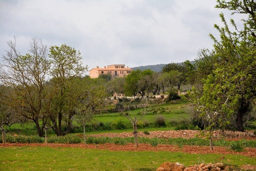 Finca zum Kauf 2.400.000 € 7 Zimmer 500 m²<br/>Wohnfläche 13.000 m²<br/>Grundstück Sant Llorenç des Cardassar 07530