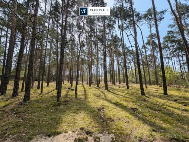 Land-/Forstwirtschaft zum Kauf 135.000 € 1.727 m² Grundstück Horstfelde Zossen 15806