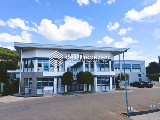 Büro zur Miete 676 m² Bürofläche Wehingen 78564