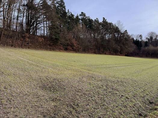Land-/Forstwirtschaft zum Kauf 136.260 € 7.570 m² Grundstück Oberlauterbach Pfeffenhausen 84076