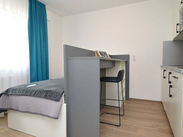Wohnung zur Miete auf Zeit 679 € 1 Zimmer 23 m² frei ab 01.10.2026 Innenstadt Aschaffenburg 63739