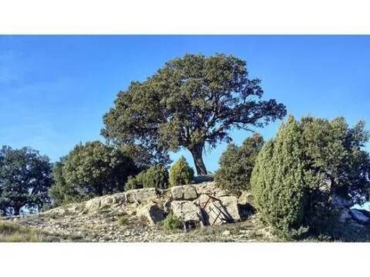 Chalet zum Kauf 225.000 € 5 Zimmer 400 m² Morella Morella 12300