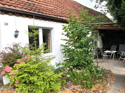 Terrassenwohnung zur Miete 250 € 3 Zimmer 60 m² EG frei ab sofort Rahden 32369
