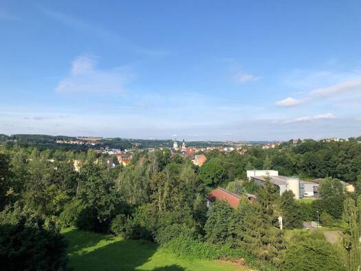 Wohnung zur Miete 235 € 1 Zimmer 31,4 m² 5. Geschoss Givorser Straße 11 Döbeln Döbeln 04720