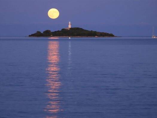 Studio zum Kauf 1.250.000 € 3 Zimmer 145 m² Alcúdia 07400