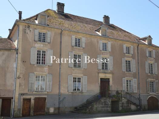 Einfamilienhaus zum Kauf 250.000 € 15 Zimmer 450 m² 1.146 m² Grundstück Vittel 88800