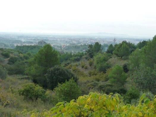 Grundstück zum Kauf 135.000 € 9.446 m² Grundstück Castellvell del Camp 43391