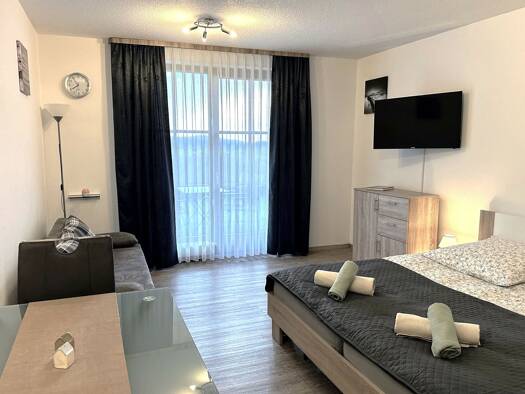 Studio zum Kauf 61.900 € 1 Zimmer 33 m² 1. Geschoss Steinberg Schöfweg 94572