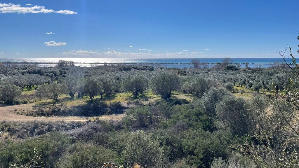 Land-/Forstwirtschaft zum Kauf 165.000 € 5.000 m² Grundstück Korfu