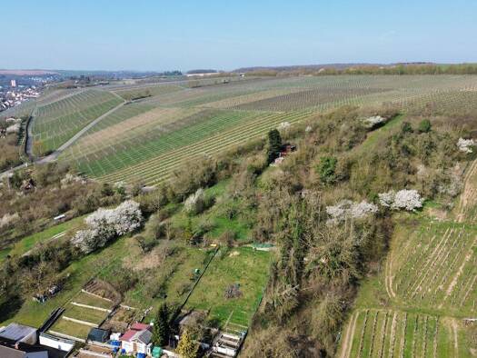 Grundstück zum Kauf provisionsfrei 29.500 € 2.131 m² Grundstück frei ab sofort Frickenhausen a.Main 97199