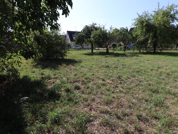 Haus zum Kauf 320.000 € 1.032 m² Grundstück Igelsdorf Baiersdorf 91083