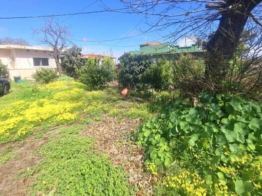 Chalet zum Kauf 307.000 € 3 Zimmer 203 m² Calle Carril Alto, 62 Tacoronte 38355