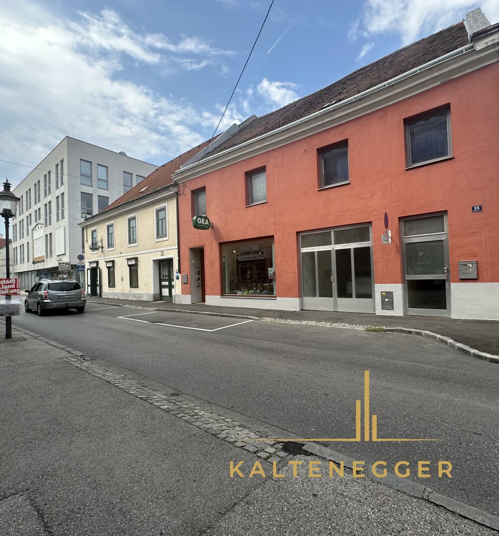 Immobilie zum Kauf als Kapitalanlage geeignet 510.000 € 4 Zimmer 256 m²<br/>Fläche 250 m²<br/>Grundstück Wiener Neustadt 2700