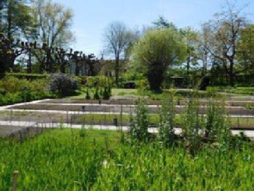 Grundstück zum Kauf als Kapitalanlage geeignet 7.800.000 € 8.800 m² Grundstück Karlshorst Berlin 10318