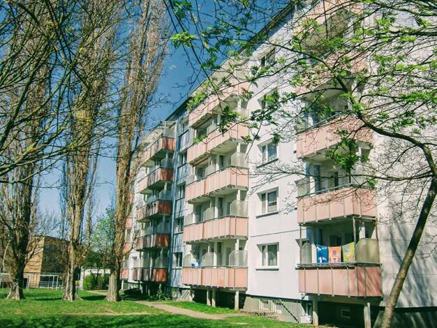 Wohnung zur Miete 340 € 2 Zimmer 49,6 m² 4. Geschoss frei ab 01.10.2025 Robert-Schulz-Ring 29 Prenzlau Prenzlau 17291