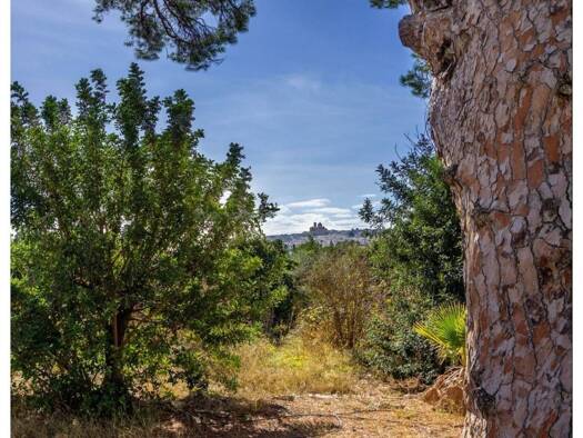 Acker-/Waldstück zum Kauf 399.000 € Parcent 03590