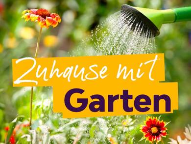 Wohnung zur Miete 250 € 2 Zimmer 41,1 m² EG frei ab 01.07.2025 Eichenstraße 59 Lusan - Eichenstraße Gera 07549