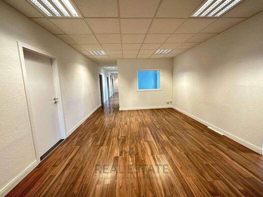 Bürofläche zur Miete 10,90 € 230 m² Bürofläche Borgfelde Hamburg 20537