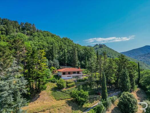 Villa zum Kauf 435.000 € 3 Zimmer 195 m² 4.000 m² Grundstück frei ab sofort Dicomano