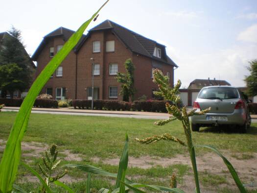 Wohnung zur Miete 595 € 3,5 Zimmer 75 m² Geschoss 2/3 frei ab 01.02.2026 Alter Postweg 45 Neu Kaliß 19294